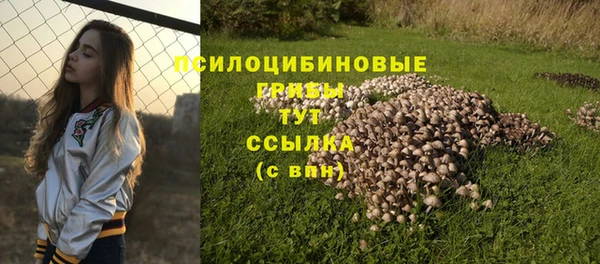 кокс Гусь-Хрустальный