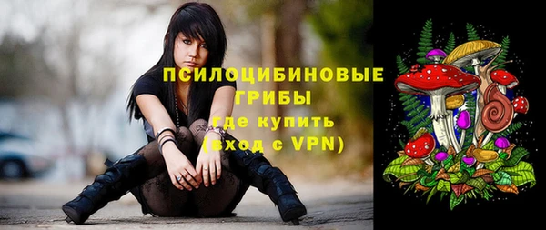 герыч Горняк