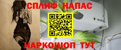 mdpv Камышлов