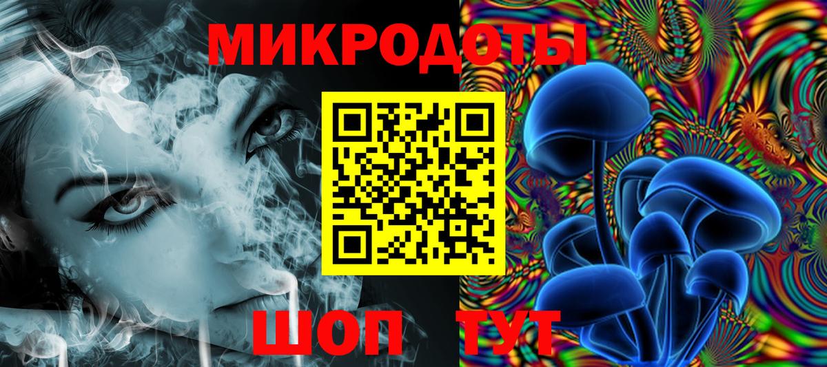 Псилоцибиновые грибы Psilocybine cubensis Междуреченск