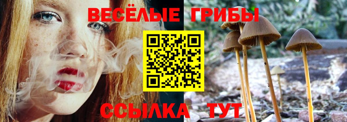 Галлюциногенные грибы MAGIC MUSHROOMS  Псилоцибиновые грибы Psilocybe  Междуреченск  Вход с VPN 