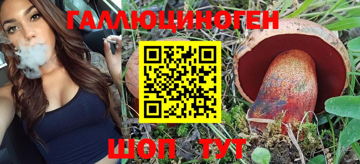 Галлюциногенные грибы прущие грибы  Псилоцибиновые грибы мицелий  Междуреченск 