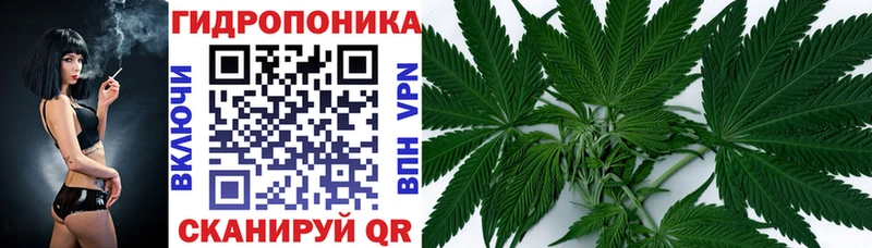 Бошки Шишки Amnesia  купить закладку  Междуреченск 